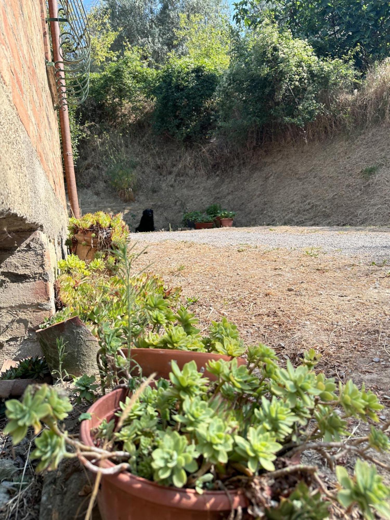 Agriturismo San Biagio Montepulciano Exterior foto