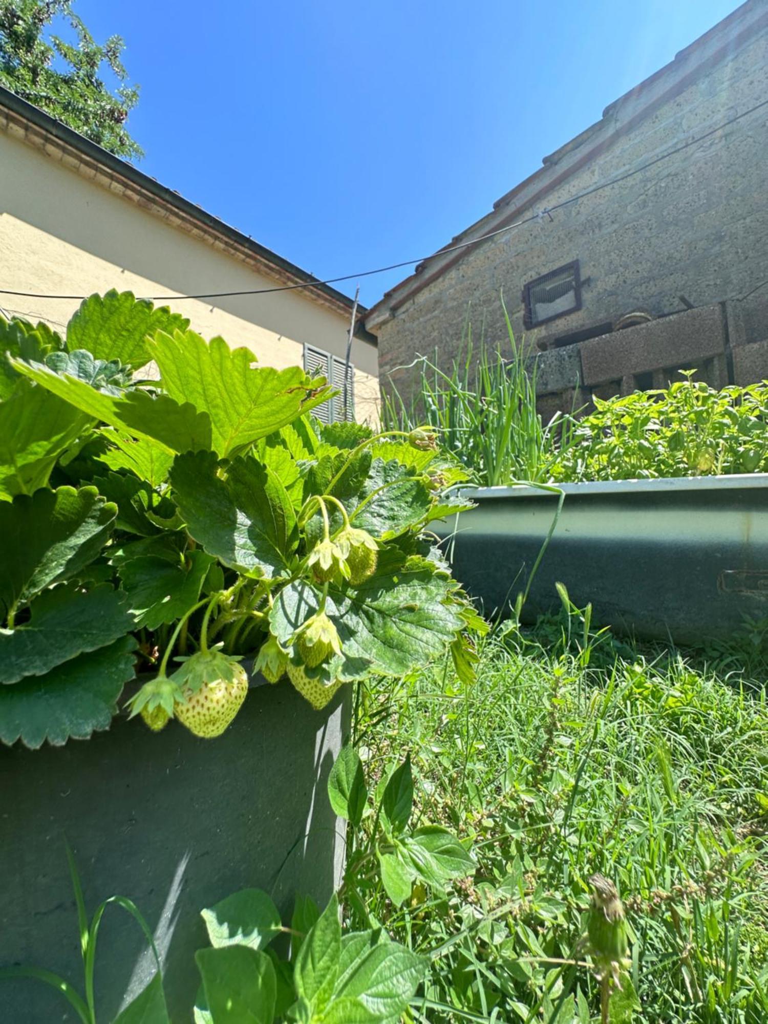 Agriturismo San Biagio Montepulciano Exterior foto