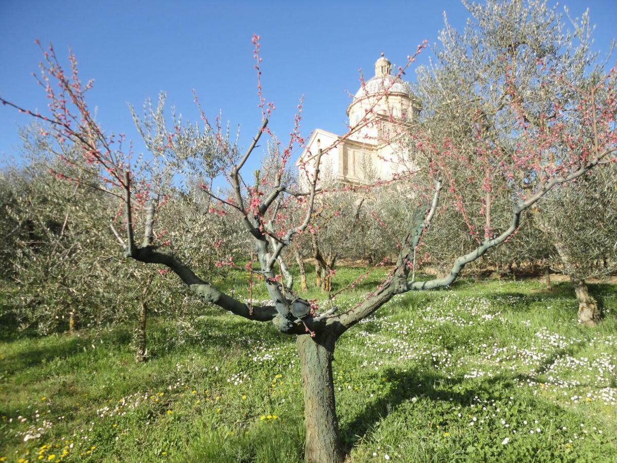 Agriturismo San Biagio Montepulciano Exterior foto
